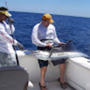 Meet your Posher, Lee